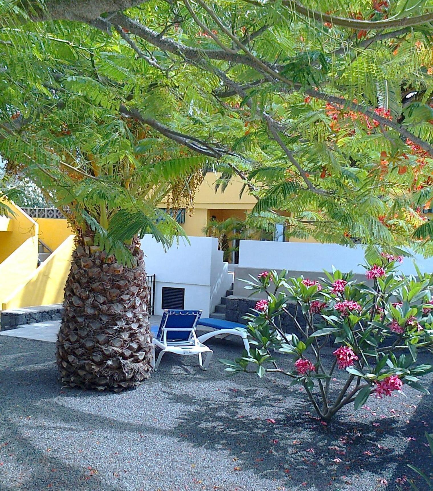 Vv Complejo Vacacional Villamaria Los Llanos De Aridane Exterior photo